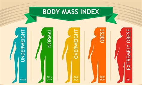 body mass index quizlet|body mass index values quizlet.